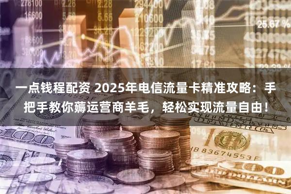 一点钱程配资 2025年电信流量卡精准攻略：手把手教你薅运营商羊毛，轻松实现流量自由！