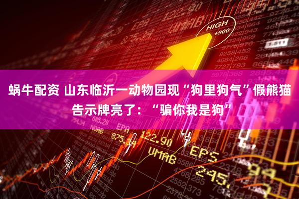蜗牛配资 山东临沂一动物园现“狗里狗气”假熊猫 告示牌亮了：“骗你我是狗”