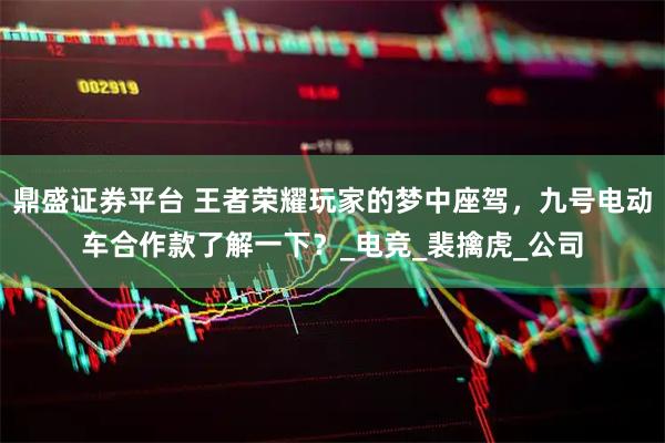 鼎盛证券平台 王者荣耀玩家的梦中座驾，九号电动车合作款了解一下？_电竞_裴擒虎_公司