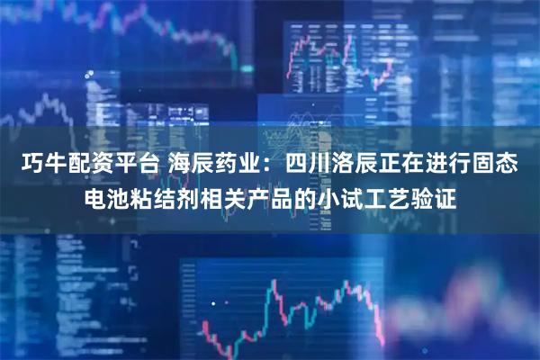 巧牛配资平台 海辰药业：四川洛辰正在进行固态电池粘结剂相关产品的小试工艺验证