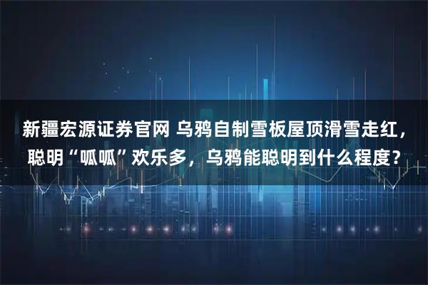 新疆宏源证券官网 乌鸦自制雪板屋顶滑雪走红，聪明“呱呱”欢乐多，乌鸦能聪明到什么程度？