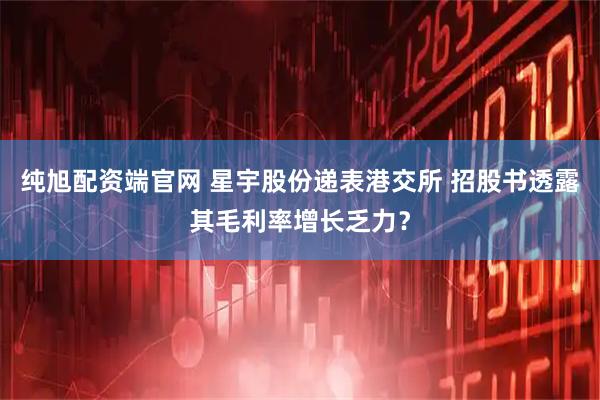 纯旭配资端官网 星宇股份递表港交所 招股书透露其毛利率增长乏力？