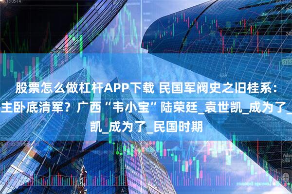 股票怎么做杠杆APP下载 民国军阀史之旧桂系：天地会堂主卧底清军？广西“韦小宝”陆荣廷_袁世凯_成为了_民国时期
