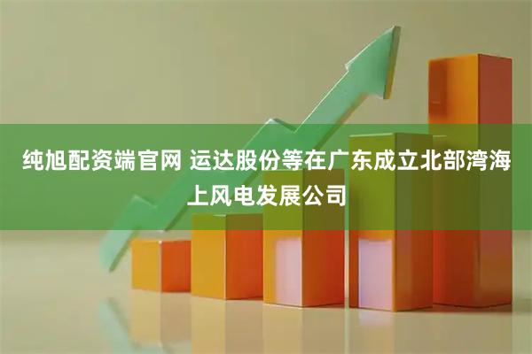 纯旭配资端官网 运达股份等在广东成立北部湾海上风电发展公司