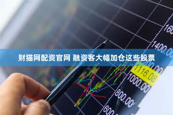 财猫网配资官网 融资客大幅加仓这些股票