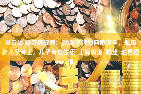 易云达 杨杏佛被刺：20发子弹射向敞篷车，他压在儿子身上，儿子奇迹生还_上海街道_戴笠_赵君理