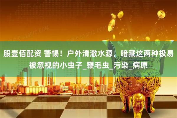 股壹佰配资 警惕！户外清澈水源，暗藏这两种极易被忽视的小虫子_鞭毛虫_污染_病原