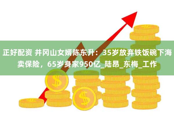 正好配资 井冈山女婿陈东升：35岁放弃铁饭碗下海卖保险，65岁身家950亿_陆昂_东梅_工作