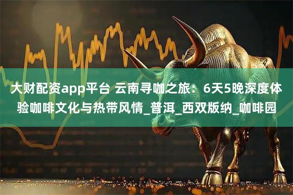 大财配资app平台 云南寻咖之旅：6天5晚深度体验咖啡文化与热带风情_普洱_西双版纳_咖啡园